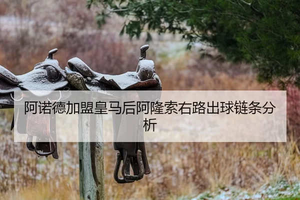 阿诺德加盟皇马后阿隆索右路出球链条分析