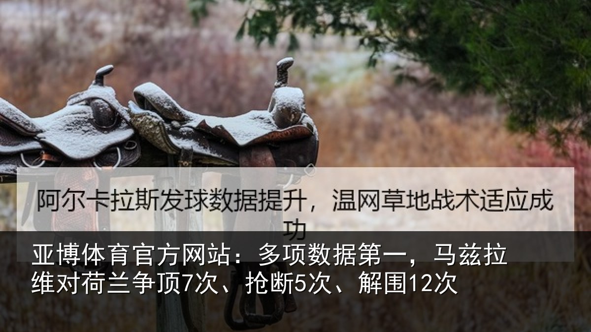亚博体育官方网站:多项数据第一,马兹拉维对荷兰争顶7次、抢断5次、解围12次