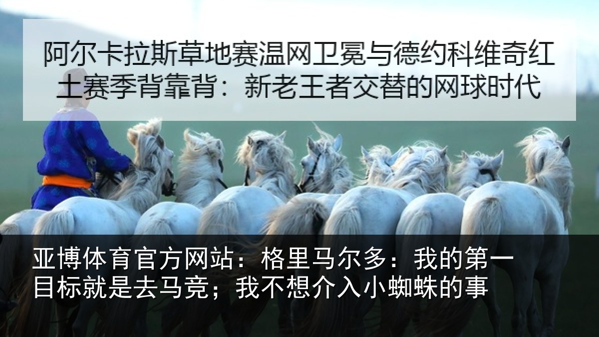 亚博体育官方网站:格里马尔多:我的第一目标就是去马竞;我不想介入小蜘蛛的事