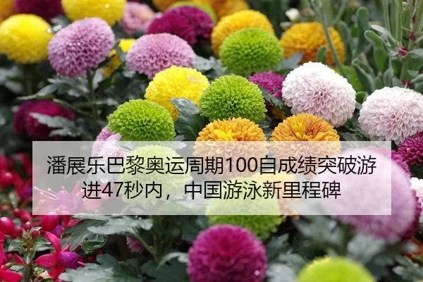 潘展乐巴黎奥运周期100自成绩突破游进47秒内，中国游泳新里程碑