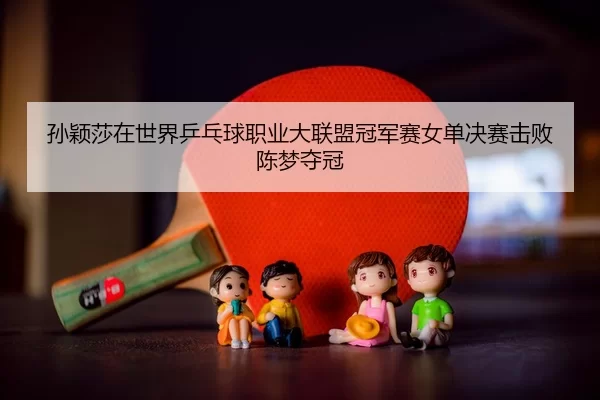 sun-ying-sha-zai-shi-jie-ping-pang-qiu-zhi-ye-da-lian-meng-guan-jun-sai-nv-dan-jue-sai-ji-bai-chen-meng-duo-guan-2-158.jpg