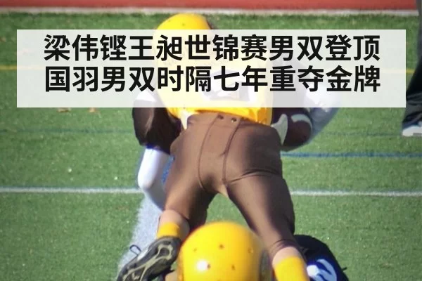 梁伟铿王昶世锦赛男双登顶 国羽男双时隔七年重夺金牌